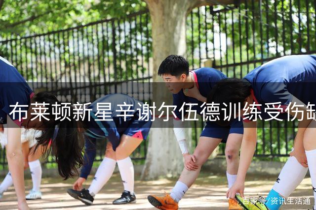 布莱顿新星辛谢尔伍德训练受伤缺阵 首轮英超曾独中两元