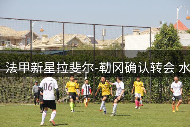 法甲新星拉斐尔-勒冈确认转会 水晶宫锁定未来后防核心